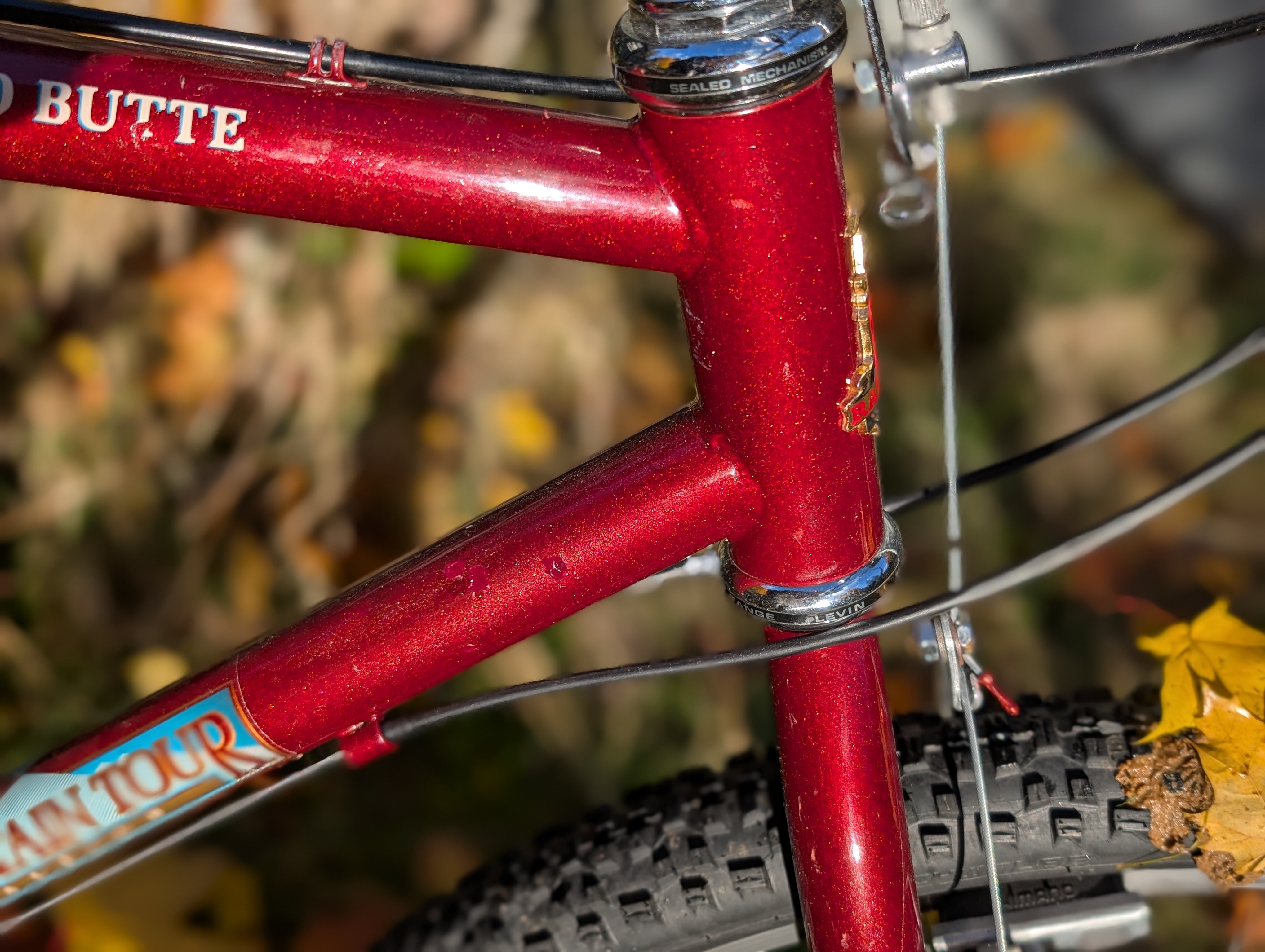 Raleigh Crested Butte