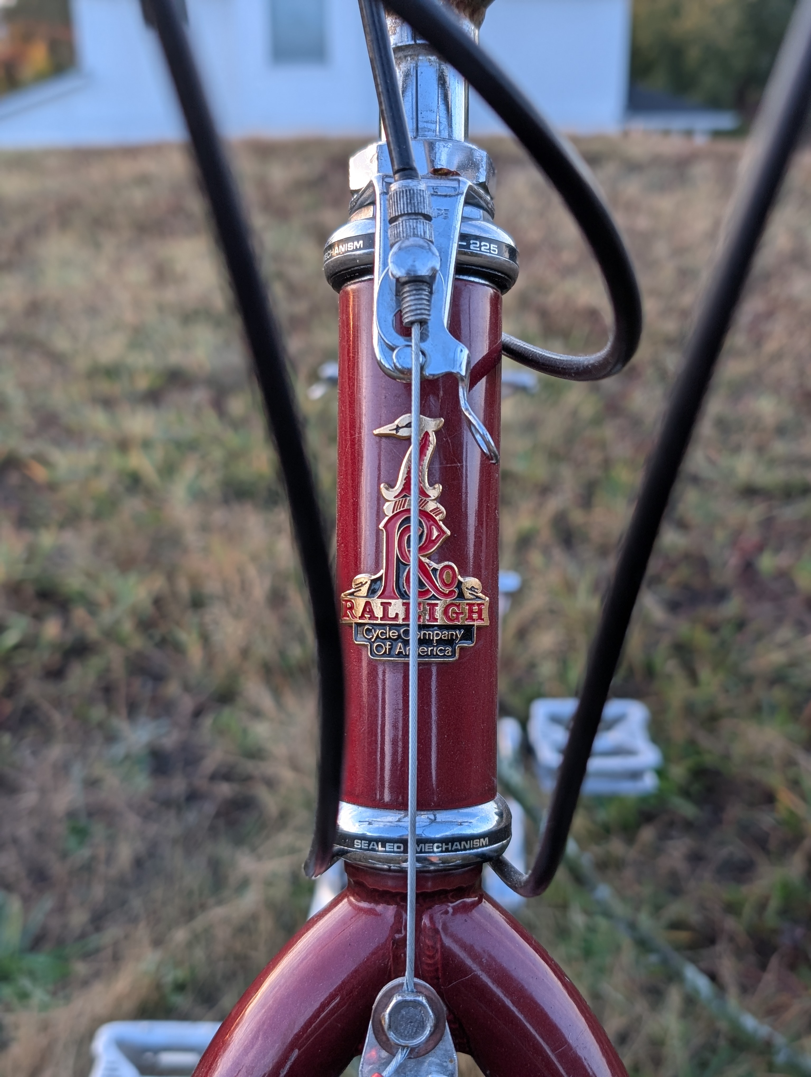 Raleigh Crested Butte