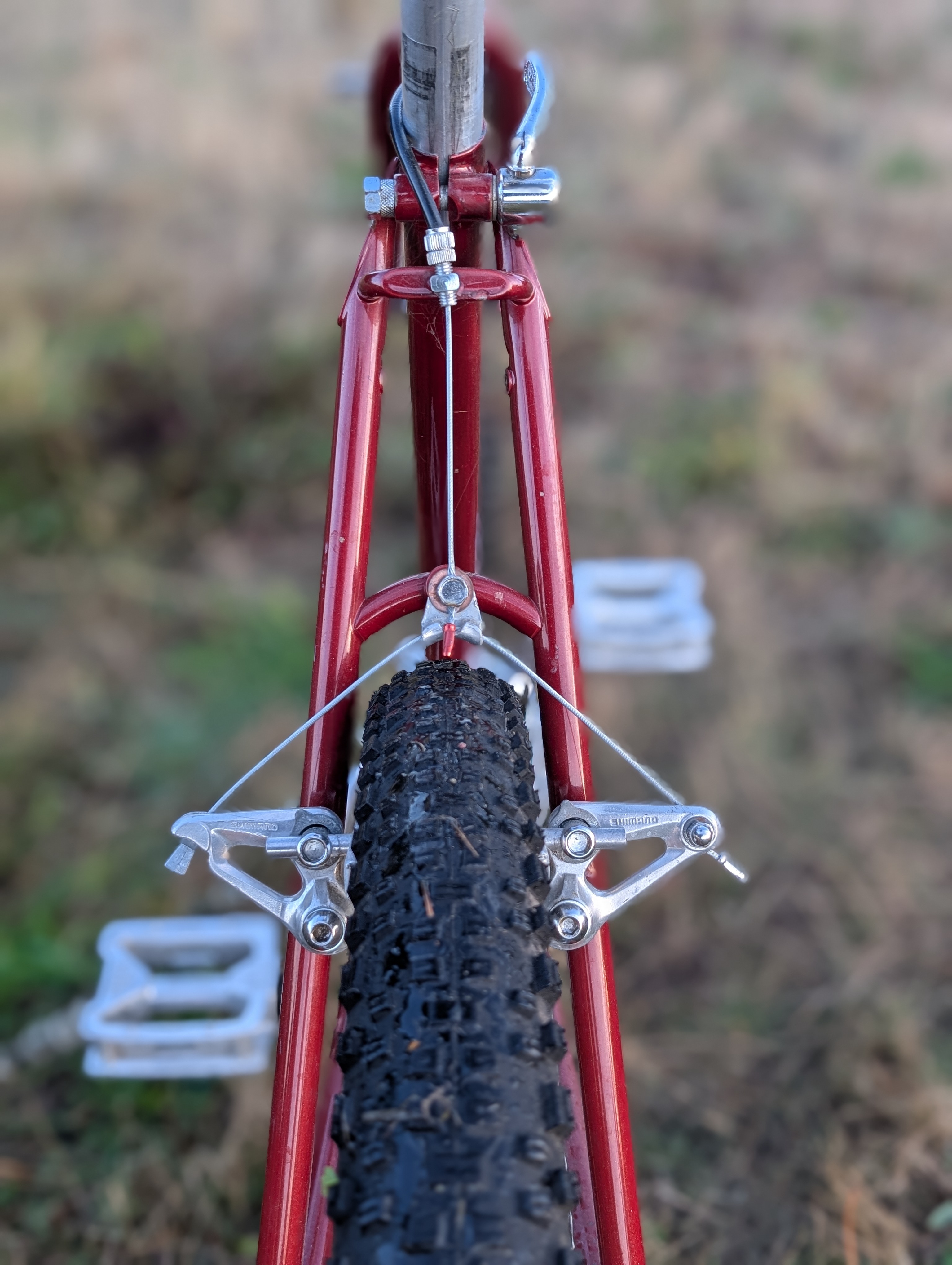 Raleigh Crested Butte