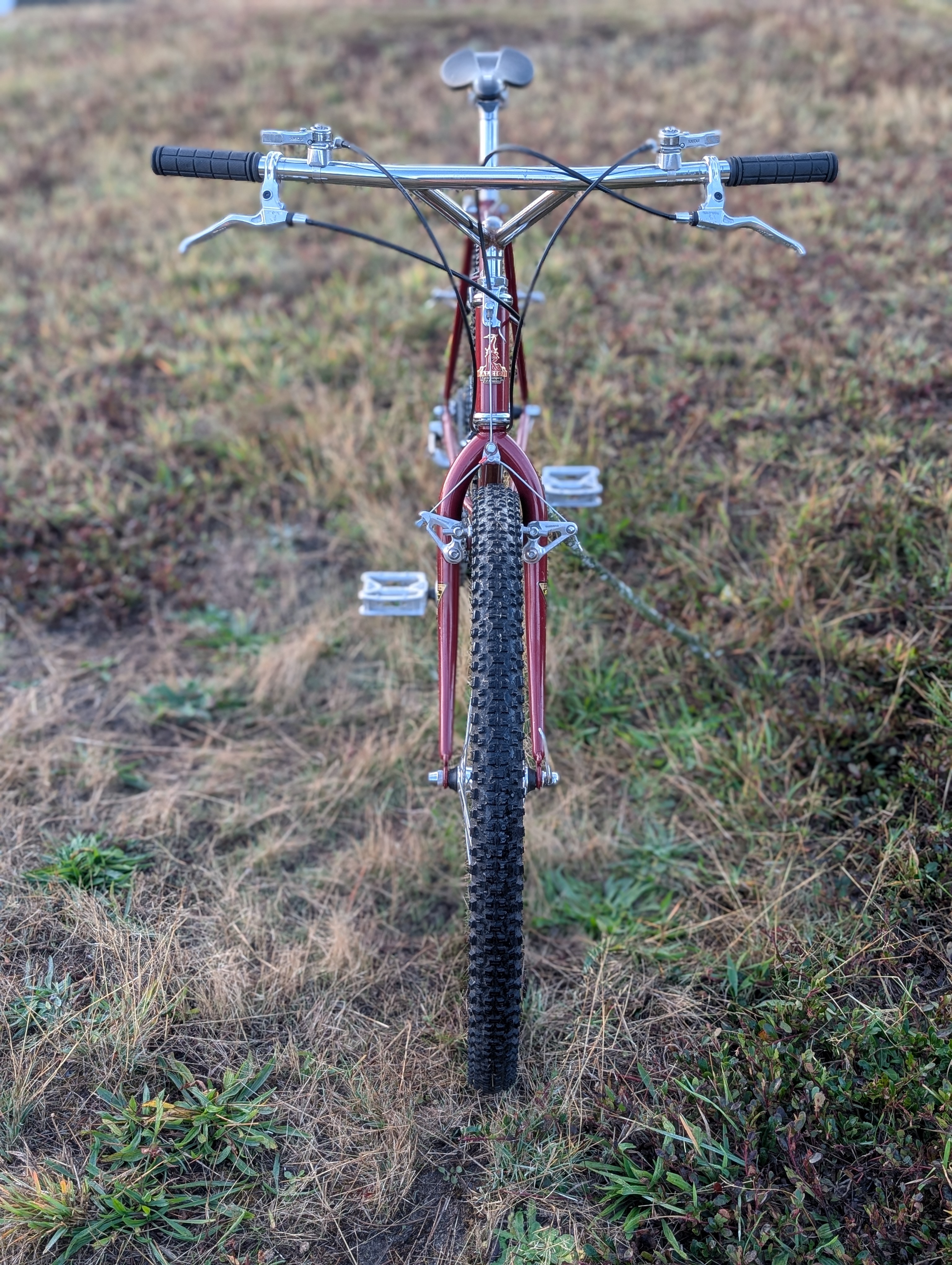 Raleigh Crested Butte