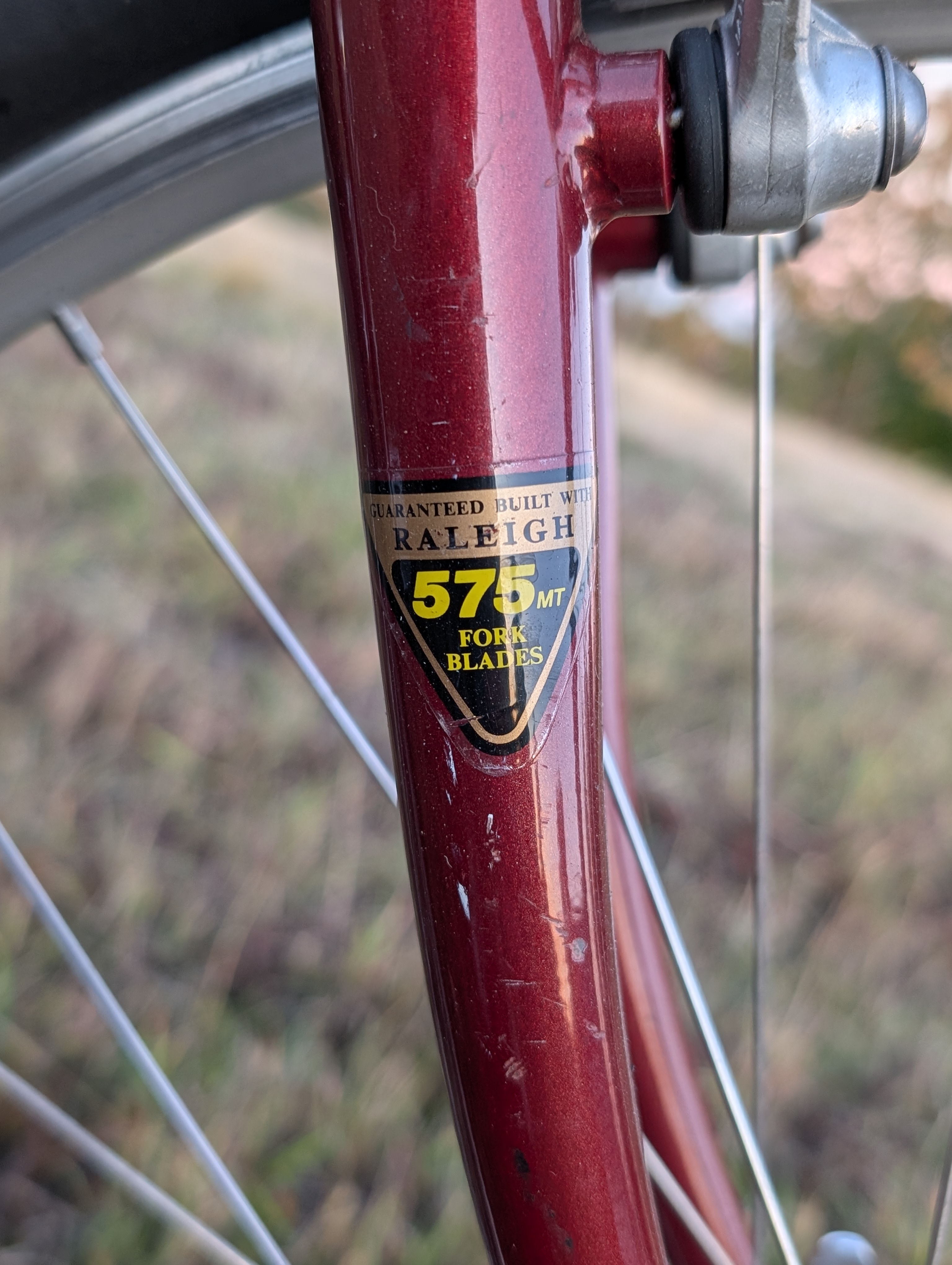 Raleigh Crested Butte