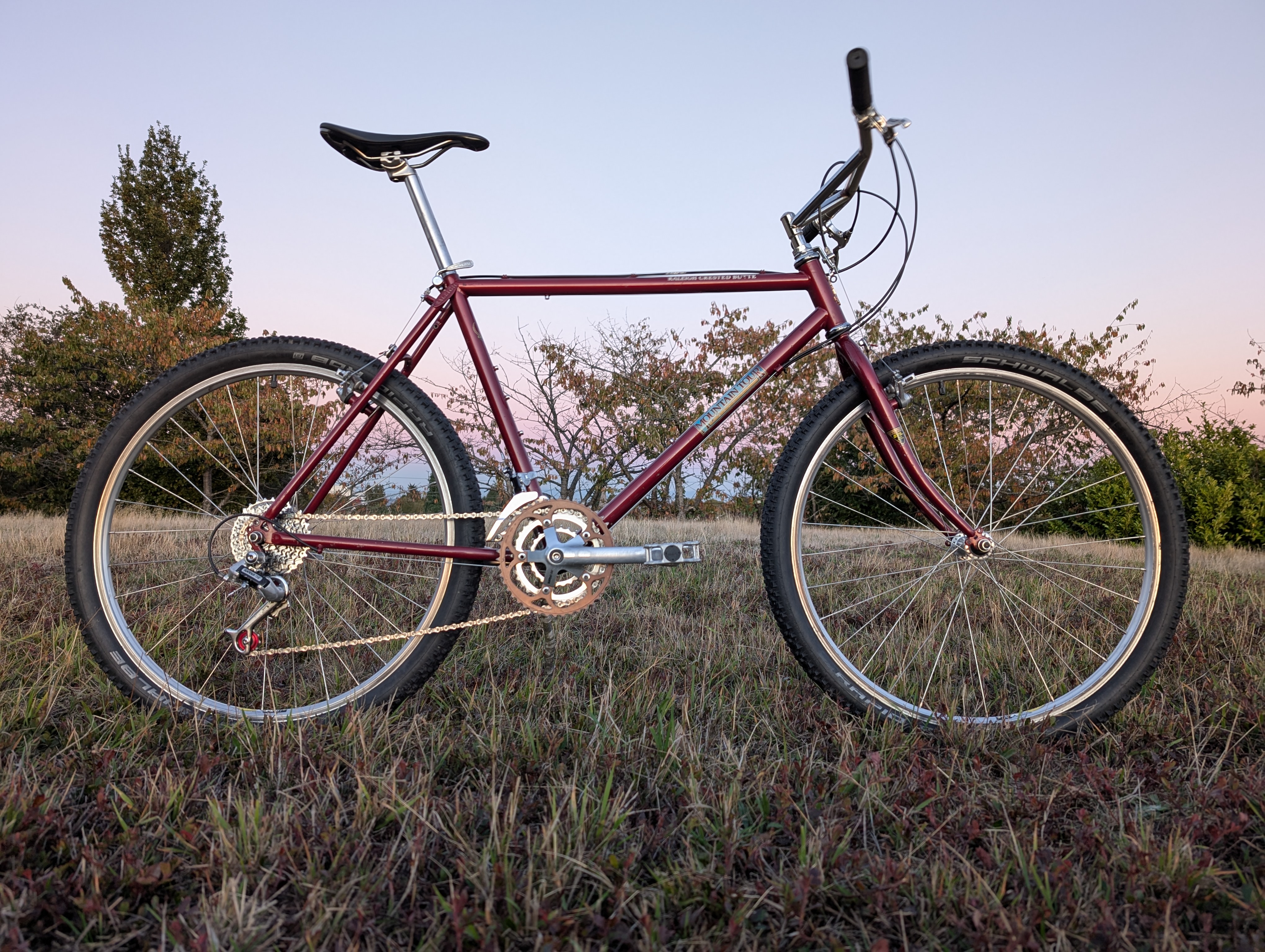 Raleigh Crested Butte