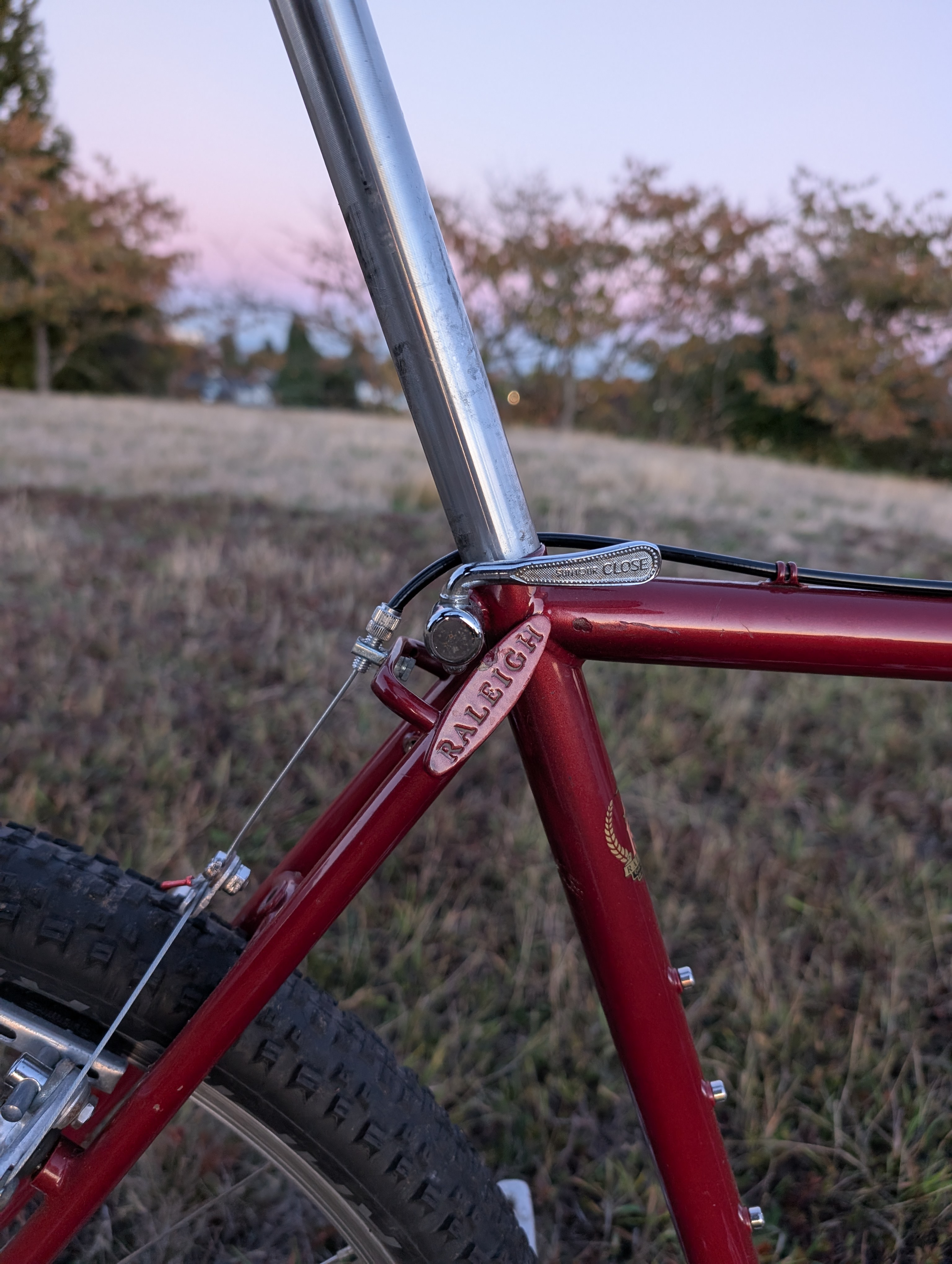 Raleigh Crested Butte