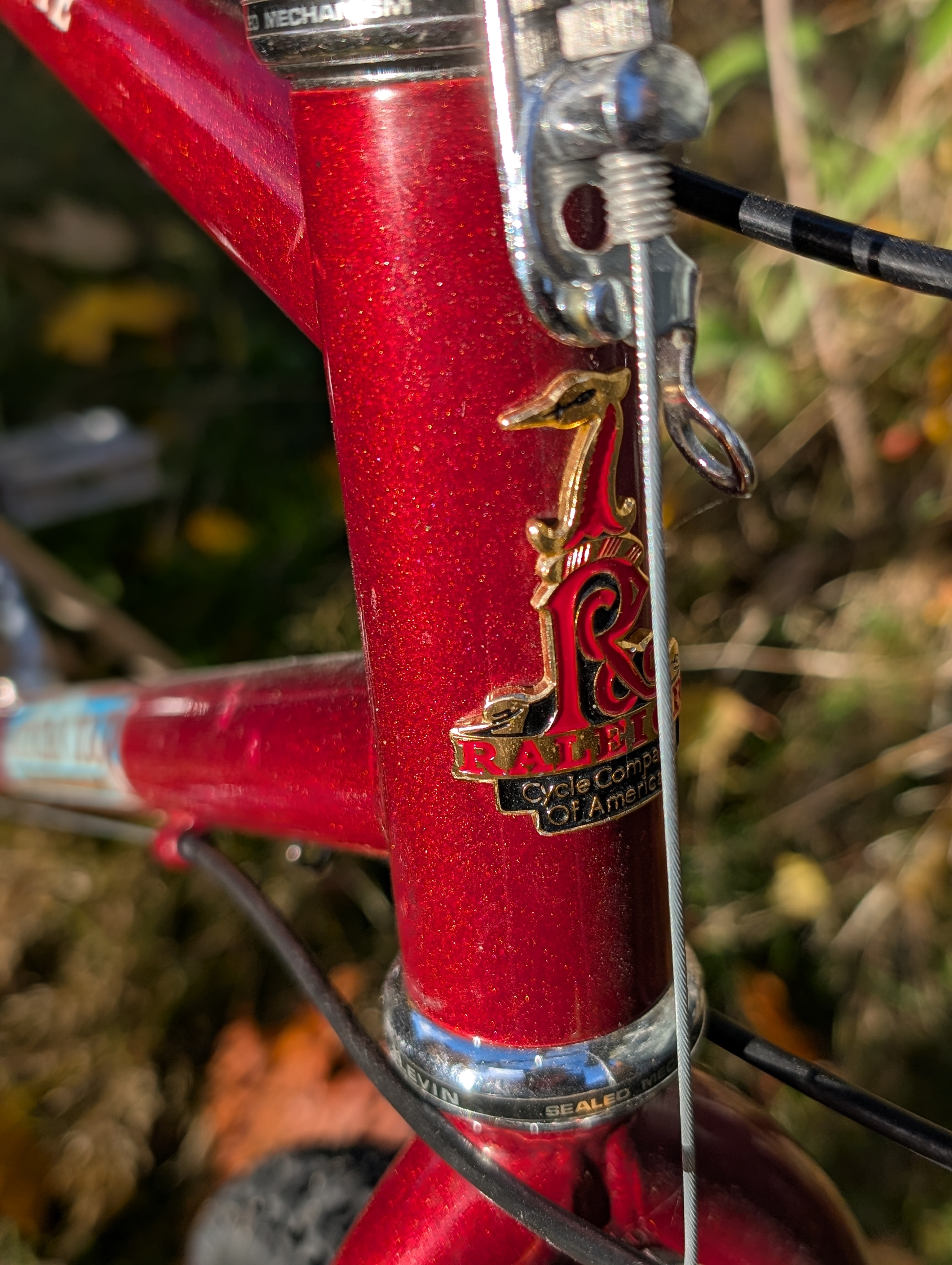 Raleigh Crested Butte
